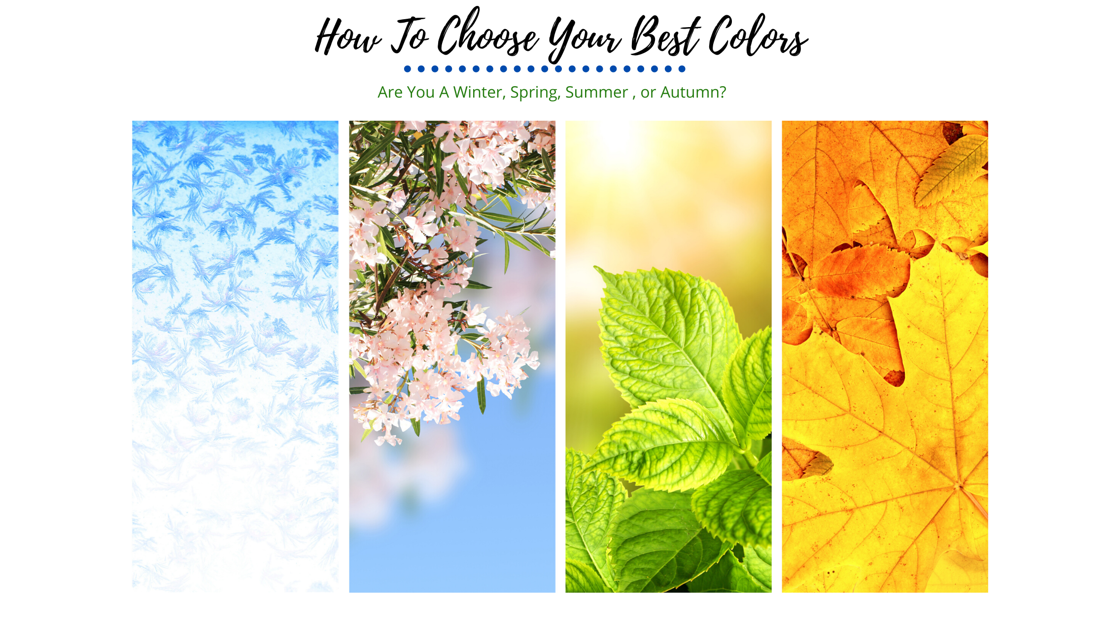 how-to-choose-your-best-colors